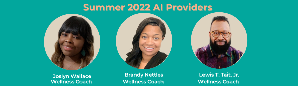 Summer AI Providers